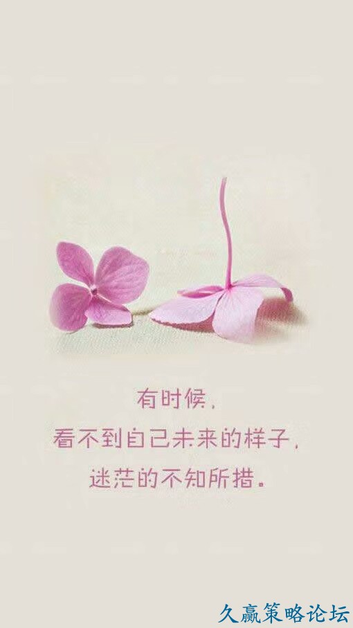 003326bxhh5hqh1v65hyea.jpg